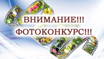 Онлайн-фотоконкурс &laquo;Наедине с природой&raquo;
